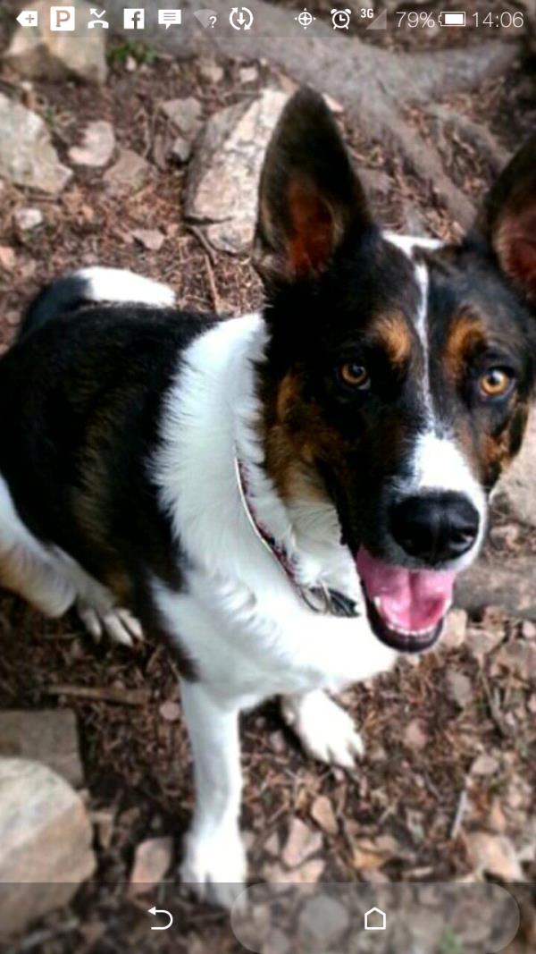 /Images/uploads/Humane Society of Utah/HSUCalendar/entries/789thumb.jpg